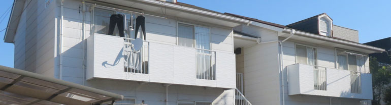 お客様の声事例6